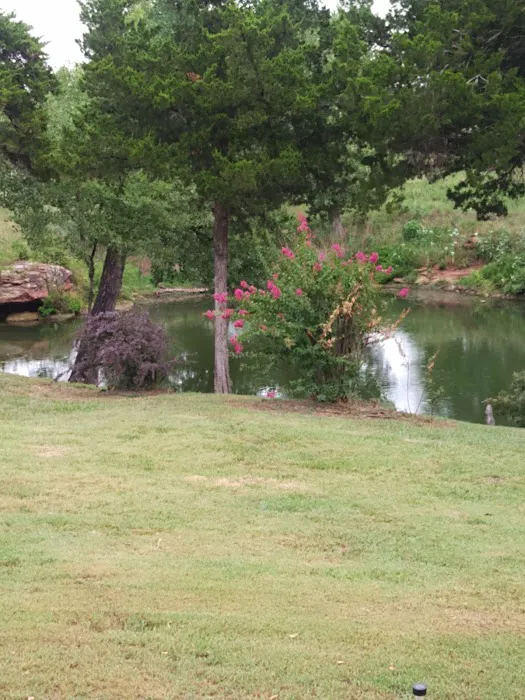 Brixey Lake RV Park Picture 2