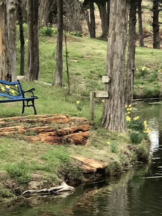 Brixey Lake RV Park Picture 9