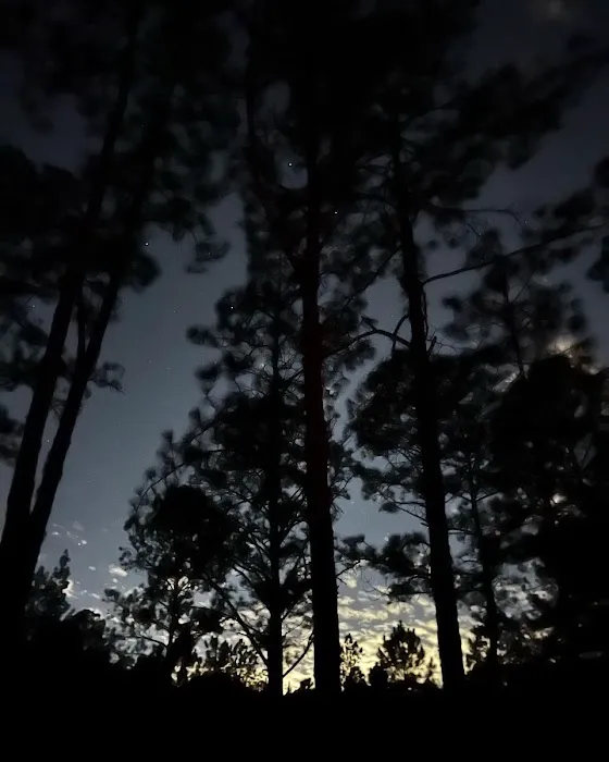 Oakridge Equestrian Campground Picture 1