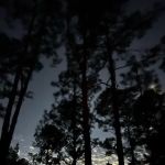 Oakridge Equestrian Campground