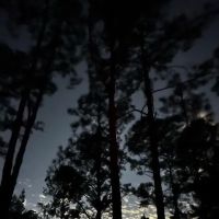 Oakridge Equestrian Campground ico