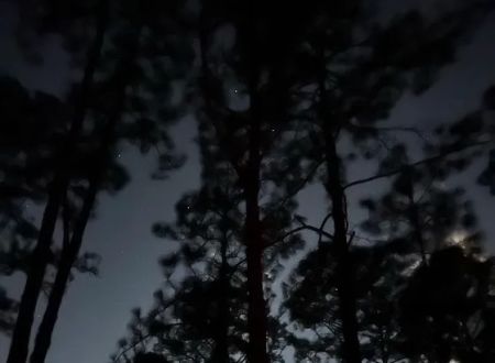 Oakridge Equestrian Campground