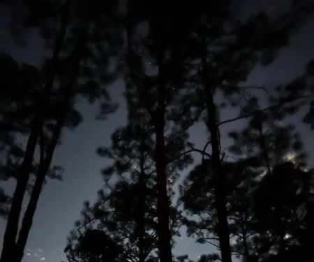 Oakridge Equestrian Campground