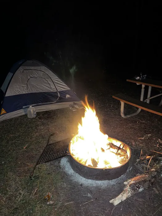 Oakridge Equestrian Campground Picture 3
