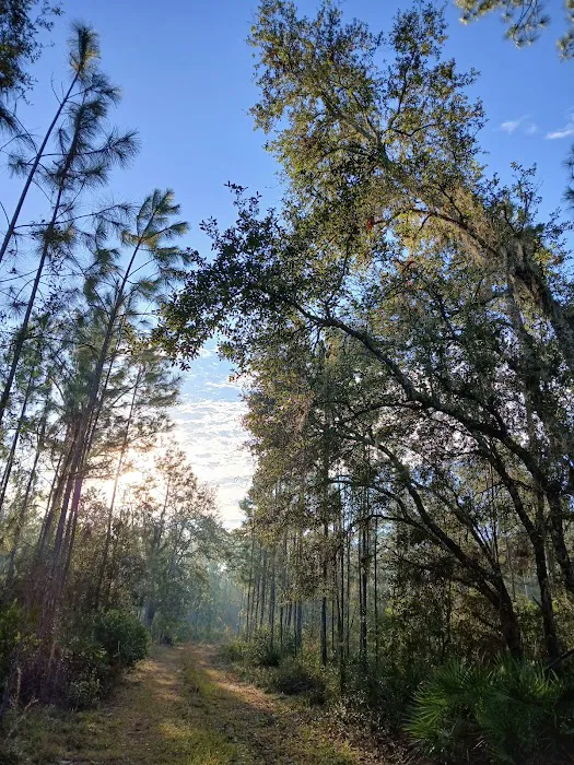 Oakridge Equestrian Campground Picture 5