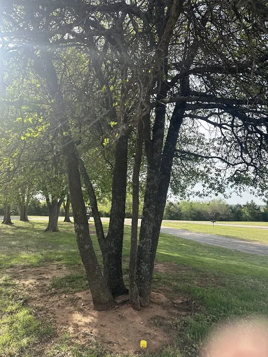 Pioneer RV Park Picture 2