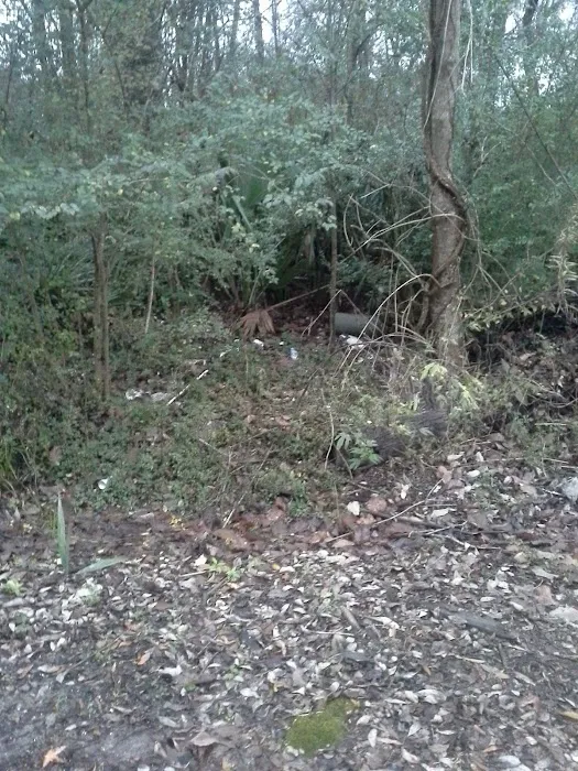 Night RV Park Picture 10
