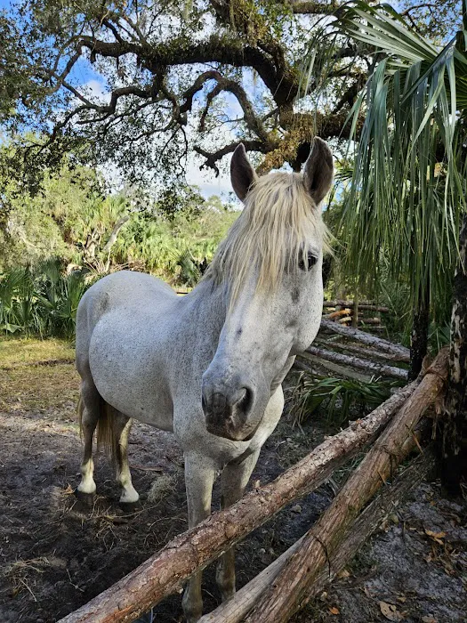 Cow Camp at Lake Kissimmee State Park Picture 3