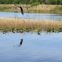 Lake Rosalie Park and Campground ico