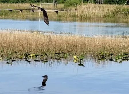 Lake Rosalie Park and Campground