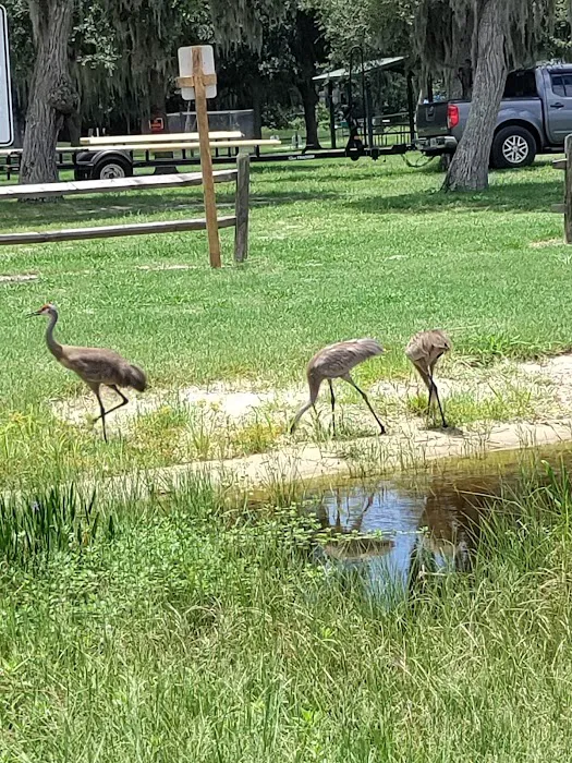 Lake Rosalie Park and Campground Picture 5