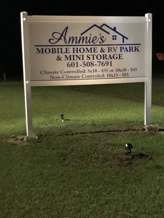 Ammie's Mobile Home ,RV Park & Mini Storage Picture 4
