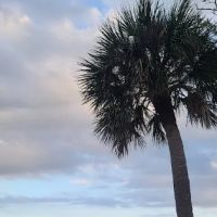KSC Campground ico