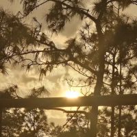 RIVERA RANCH ico