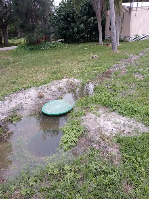 County Line Trailer Park Picture 2