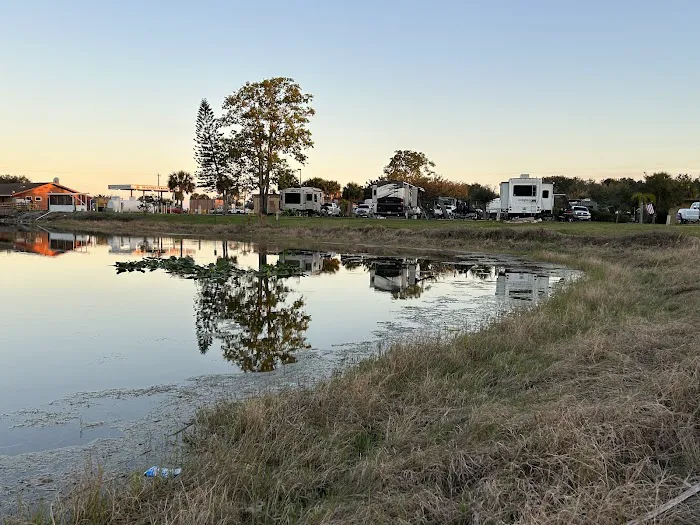 Brighton RV Resort Picture 4