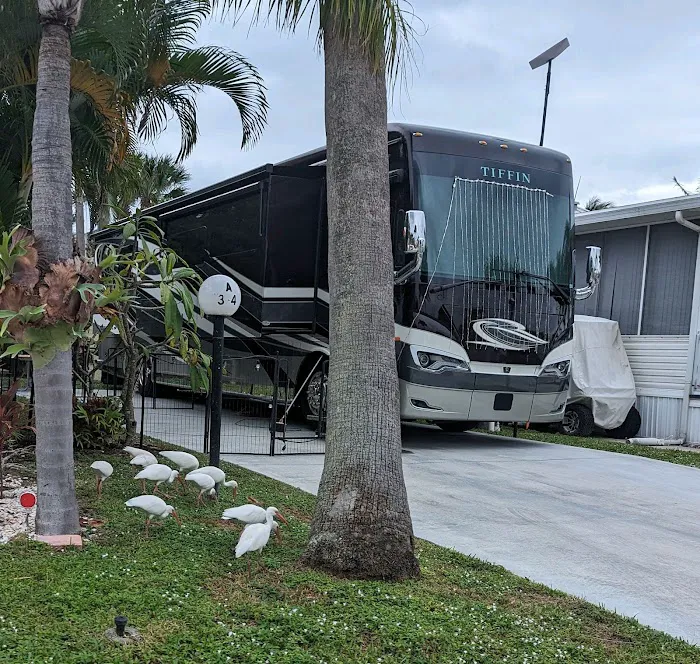 Juno Ocean Walk RV Resort Picture 7