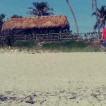 Floridian Ocean Park