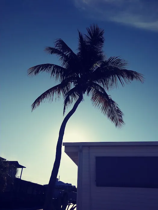 Floridian Ocean Park Picture 5