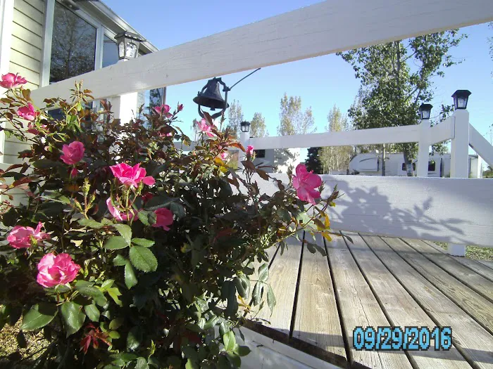 Lamplight Lane RV Resort at Glen Oaks Picture 3