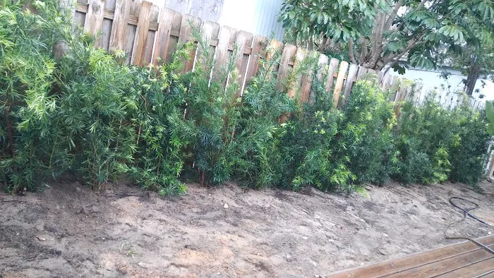 Juno Gardens Mobile Home Park Picture 5