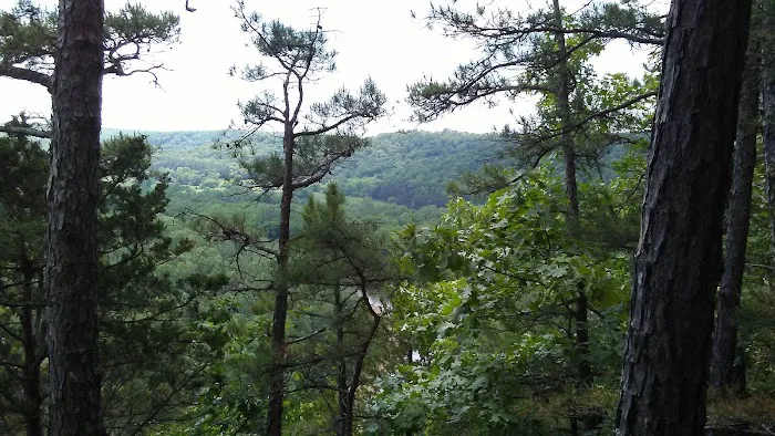 Cave Eddy Campground Picture 7