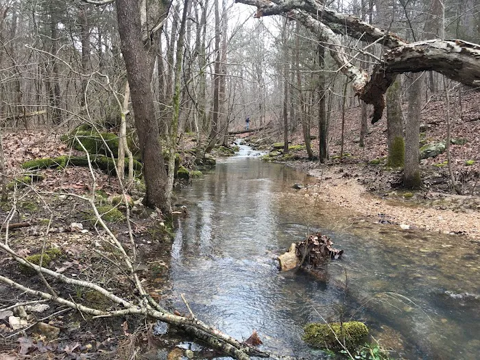 Big Piney Campground Picture 1