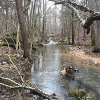 Big Piney Campground ico