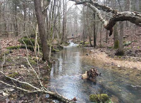 Big Piney Campground