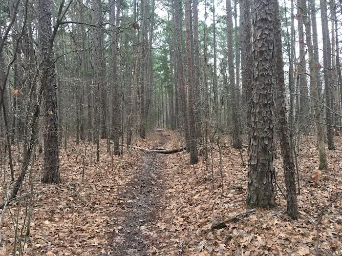 Big Piney Campground Picture 2