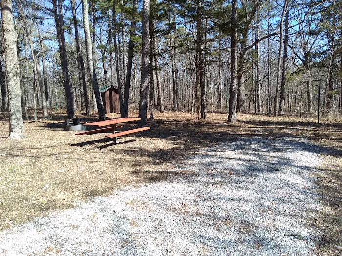 Big Piney Campground Picture 5