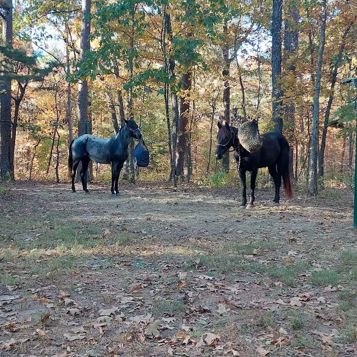 Big Piney Campground Picture 9