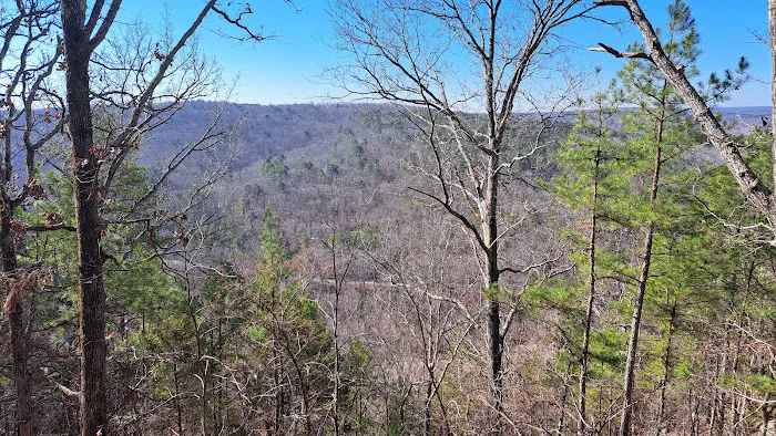 Big Piney Campground Picture 10