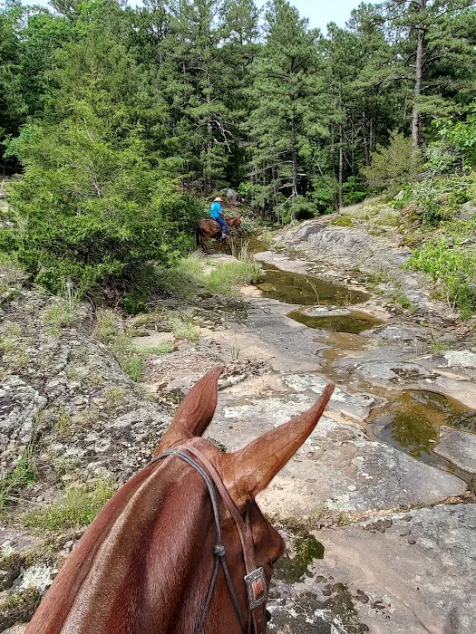 Slabtown Horse Camp LLC (formerly Slabtown Trail Rides) Picture 10