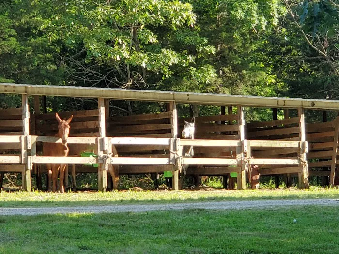 Slabtown Horse Camp LLC (formerly Slabtown Trail Rides) Picture 9