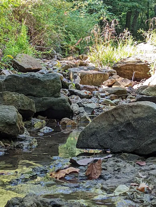 Floating R Campground Picture 1