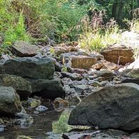 Floating R Campground ico