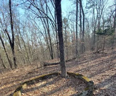 Paddy Creek Campground