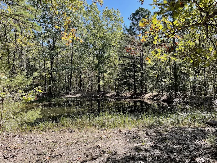 Paddy Creek Campground Picture 2