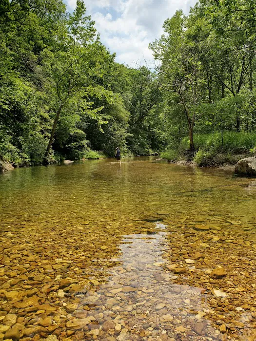 Paddy Creek Campground Picture 4