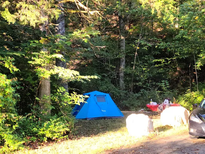 Paddy Creek Campground Picture 5