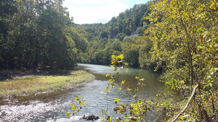 Paddy Creek Campground Picture 7