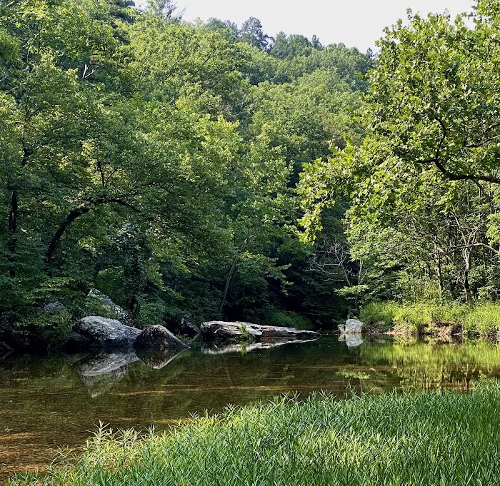 Paddy Creek Campground Picture 9