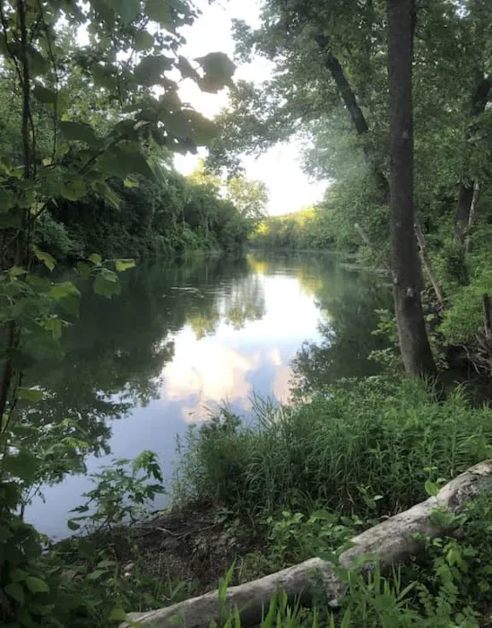 Jesse James River Resort Picture 2