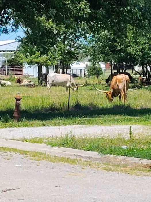 Crossroads Mobile Home Park Picture 6