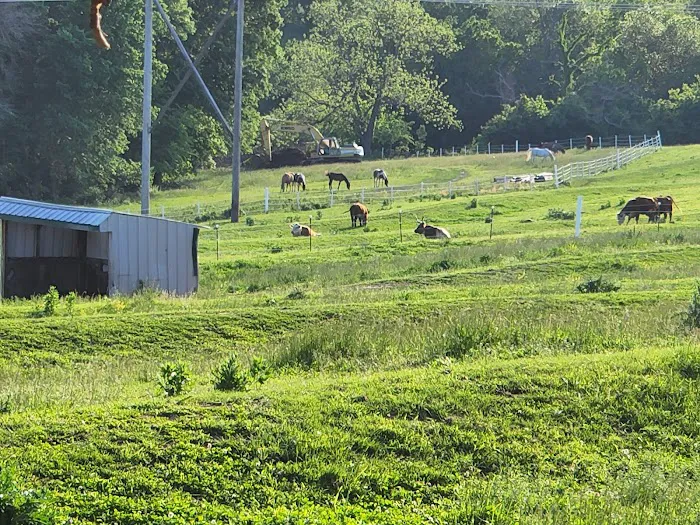 sharp rv park Picture 1