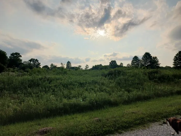 Whetstone Campgrounds Picture 4