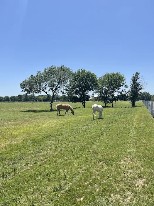 Route 66 RV and Ranch Picture 9