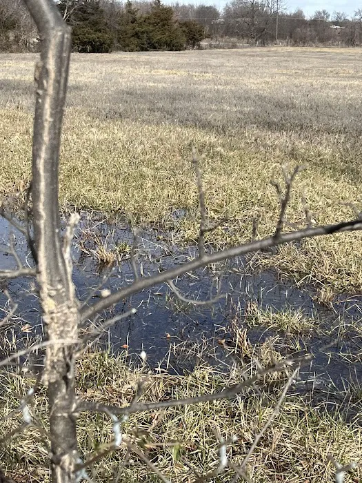Bartlesville Mobile Home Park Picture 7