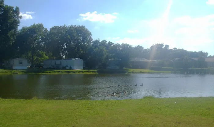 Lakeshore RV & Mobile Home Park Picture 9